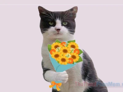 Meme Mèo Tặng Hoa: Cơn Sốt Cute Khiến Crush Tan Chảy