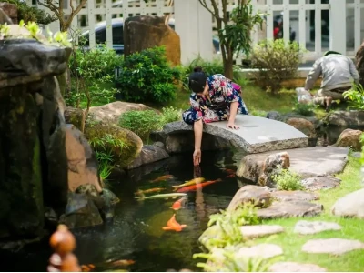 Nuôi cá phong thủy cho người mệnh Thủy: Bí quyết hút tài lộc và may mắn