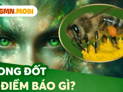 Ong Bay Quanh Người Là Điềm Gì Giải Mã Chi Tiết