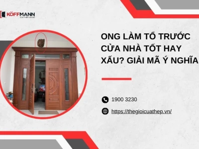 Ong vào nhà làm tổ là điềm gì? Giải mã ý nghĩa từ góc độ phong thủy và khoa học