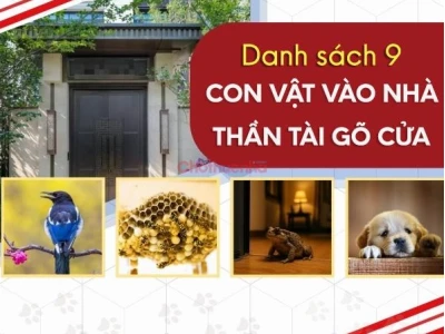 Rắn bò vào nhà là điềm gì? Giải mã ý nghĩa tâm linh và phong thủy