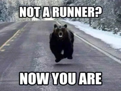 Running Meme: Khi Chạy Bộ Trở Thành Nguồn Cảm Hứng Bất Tận