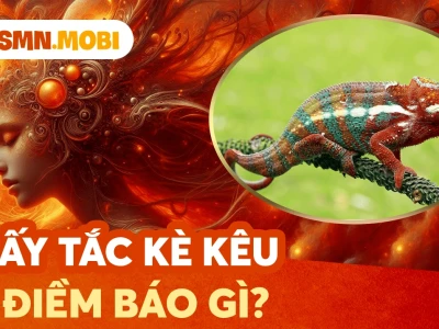 Tắc kè kêu 12 tiếng là điềm gì? Giải mã ý nghĩa chi tiết