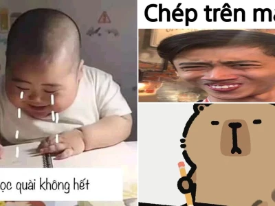 Tổng hợp những meme hài hước về bài tập về nhà khiến bạn cười ra nước mắt