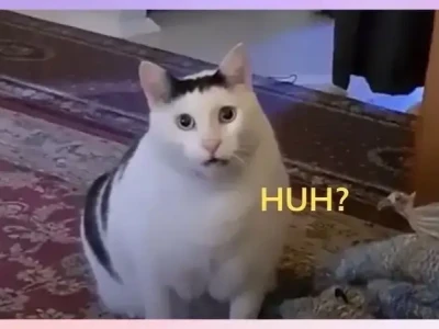 Meme hoang mang hot nhất khiến cộng đồng mạng dậy sóng